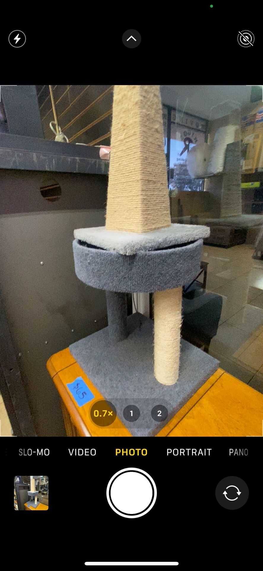 Cat Accessories