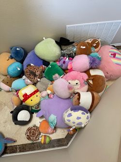 Squishmallow Lot