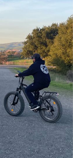 Beecool ebike adventurer