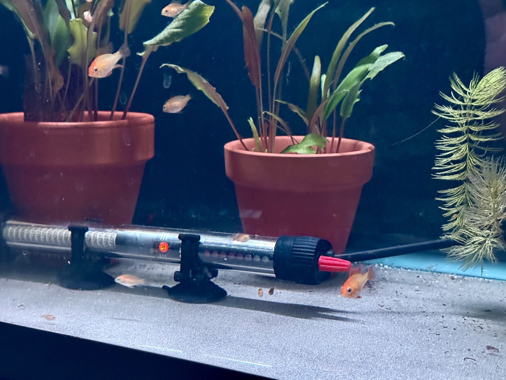 Aquarium/Fish Tank Decorations 