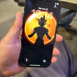 12 Pro 256gb Liberado