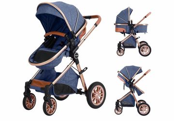 DuraFlex 2-in-1 Baby Stroller, Foldable Travel Stroller for Newborn to Toddler, Convertible Stroller with All-Terrain Wheels and UPF 50+ Canopy, Blue