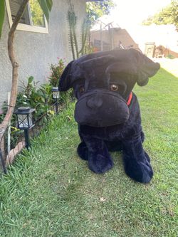 Giant dog