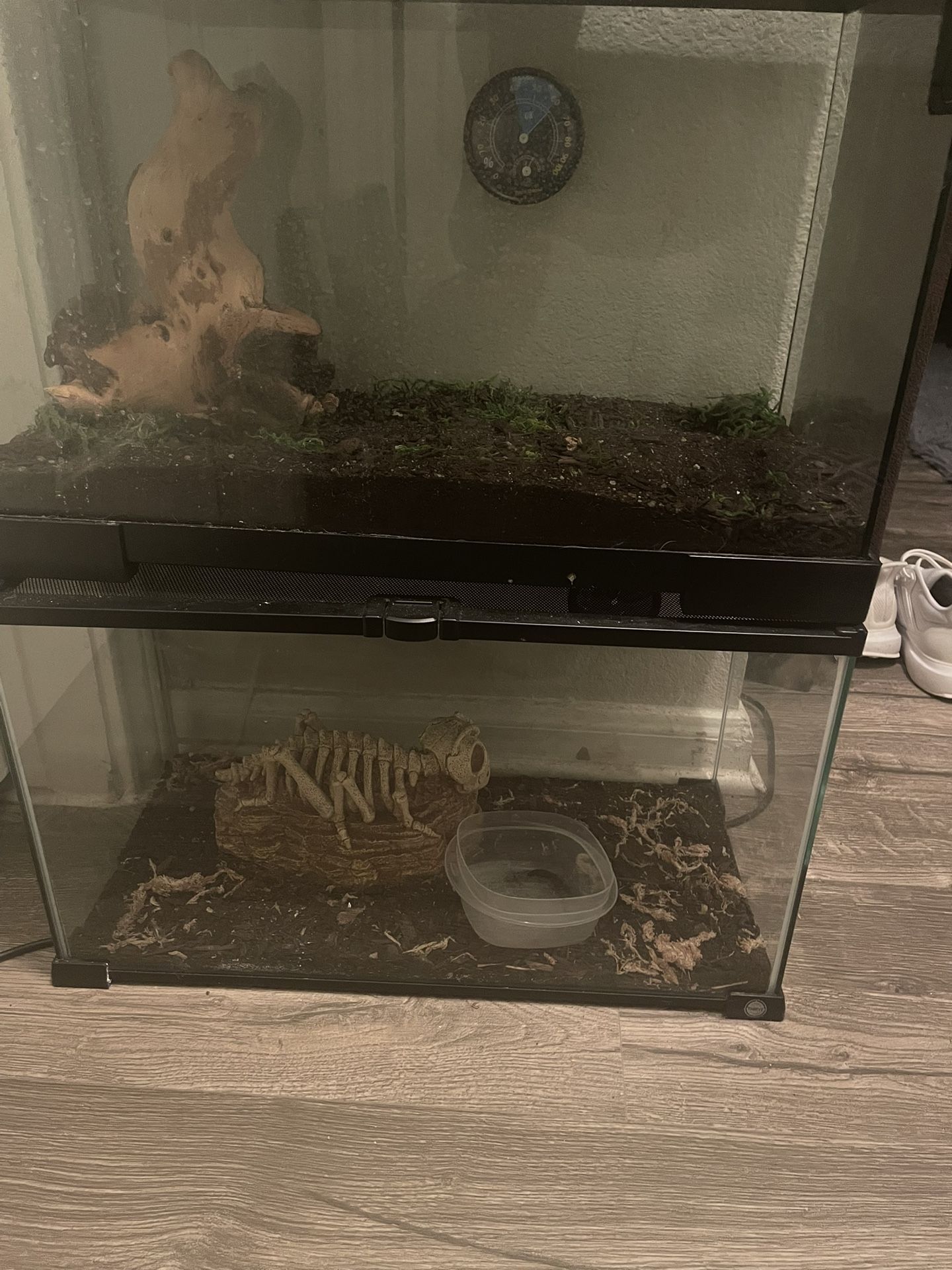 2 tanks for 40$