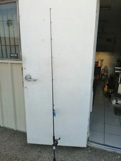 New fishing reel and new fishing pole