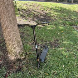 Envy Colt Kids Scooter