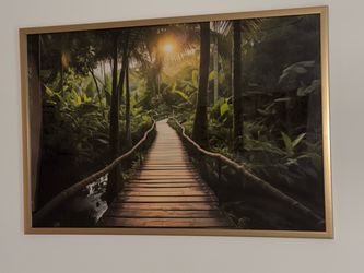 Tropical Jungle Boardwalk Framed Wall Art