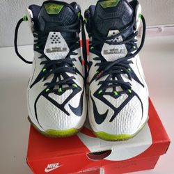 LeBron James 12 All Star Mens Size 9.5
