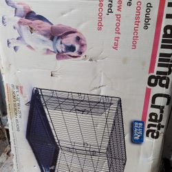 Dog Kennel 