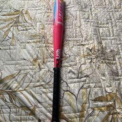 Baseball Bat 