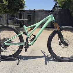 Specialized Carbon Bike
