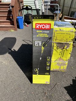 Ryobi 10in Pole Saw