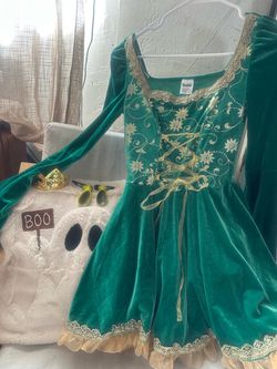 Fiona Costume