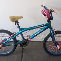 20" Girls Bike 