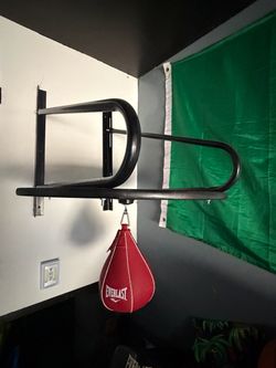 Everlast Speed Bag with Wall-Mount Platform