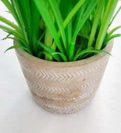 FAKE PLANT WITH CONCRETE DESIGN BASE
