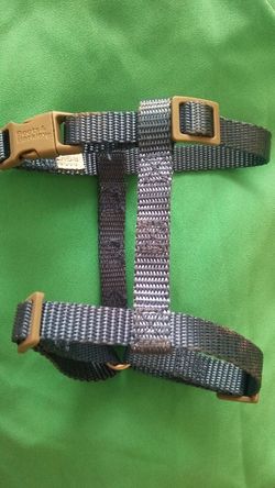 Boots and Barkley Dog harness