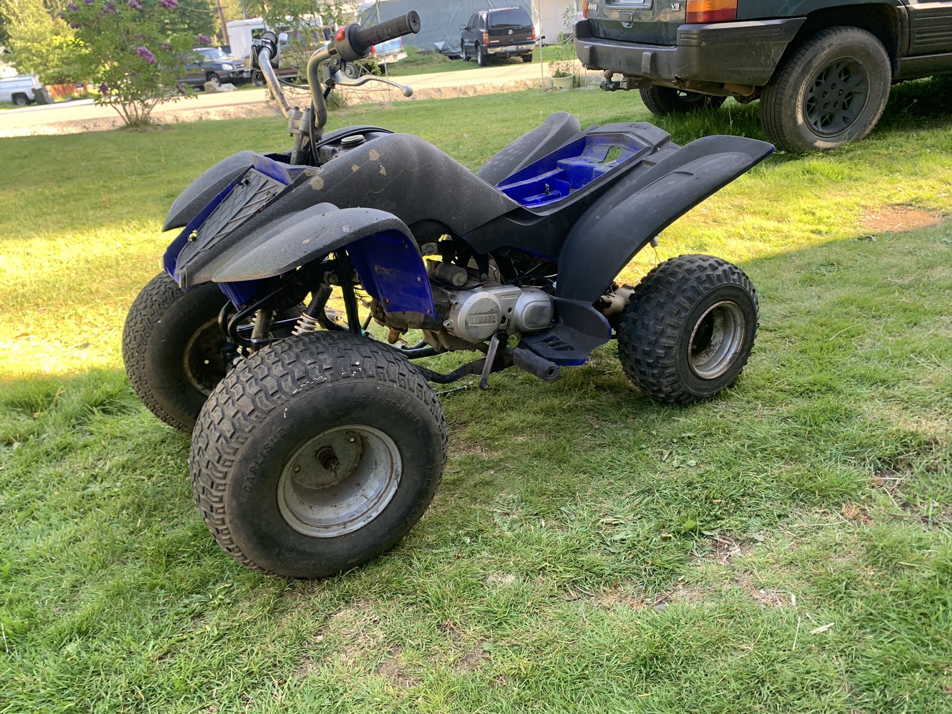 2003 yamaha raptor 80cc