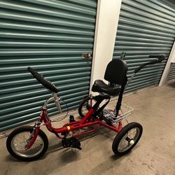 Special Needs Tricycle