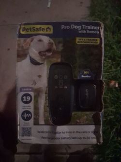 Petsafe (pro dog trainer with remote )
