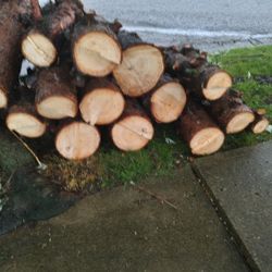 Free Cut Wood Ready To Burn 