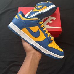 UCLA Dunk low 10
