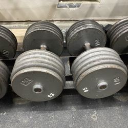 95lb Dumbbells 