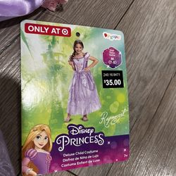Disney Princess Child Costume