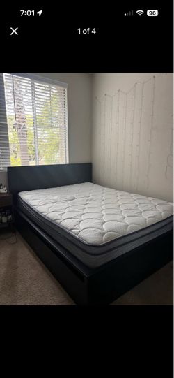 Ikea dark brown Malm Queen Bed with drawers and Mattress