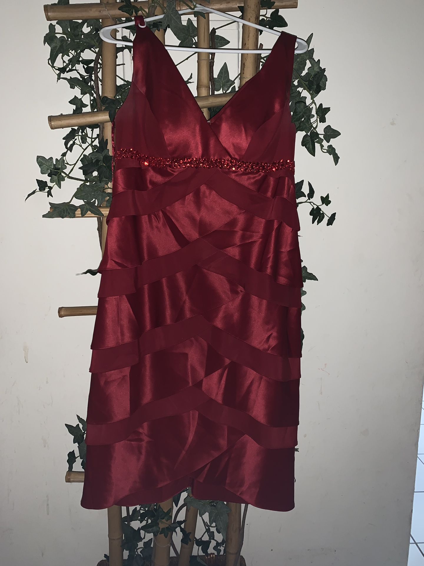 Alex Evening Red Dress Size 12