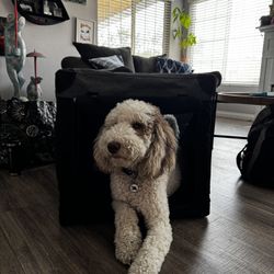 You And Me Extra Large Dog Crate