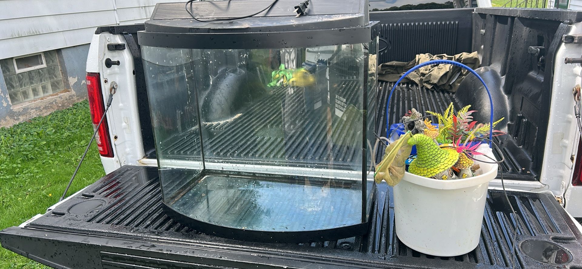 Fish Aquarium With Decorations
