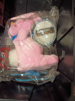 Energizer Bunny brand new with sandles
