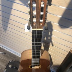 Acoustic Guitar 