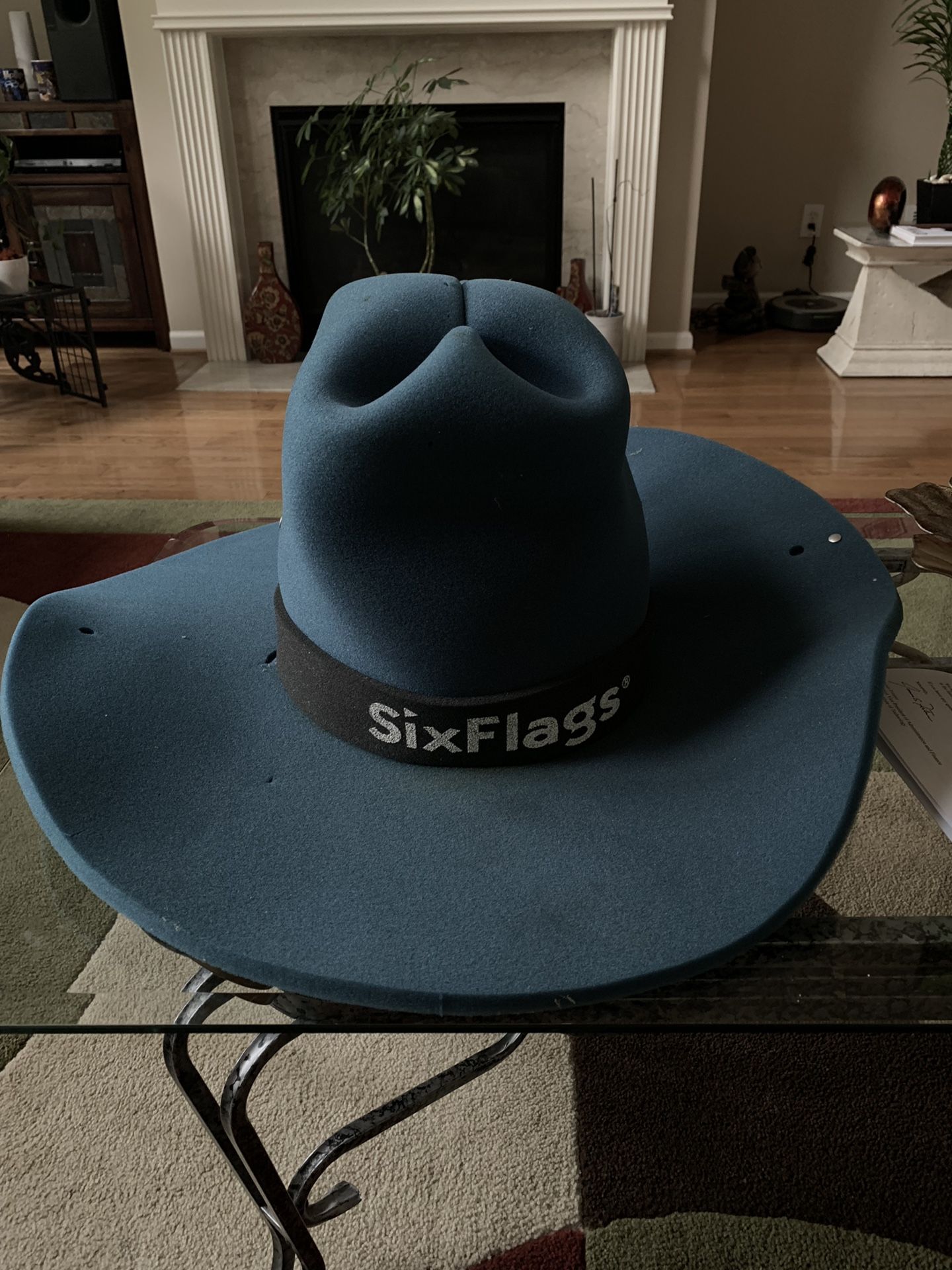 Cow boy hat