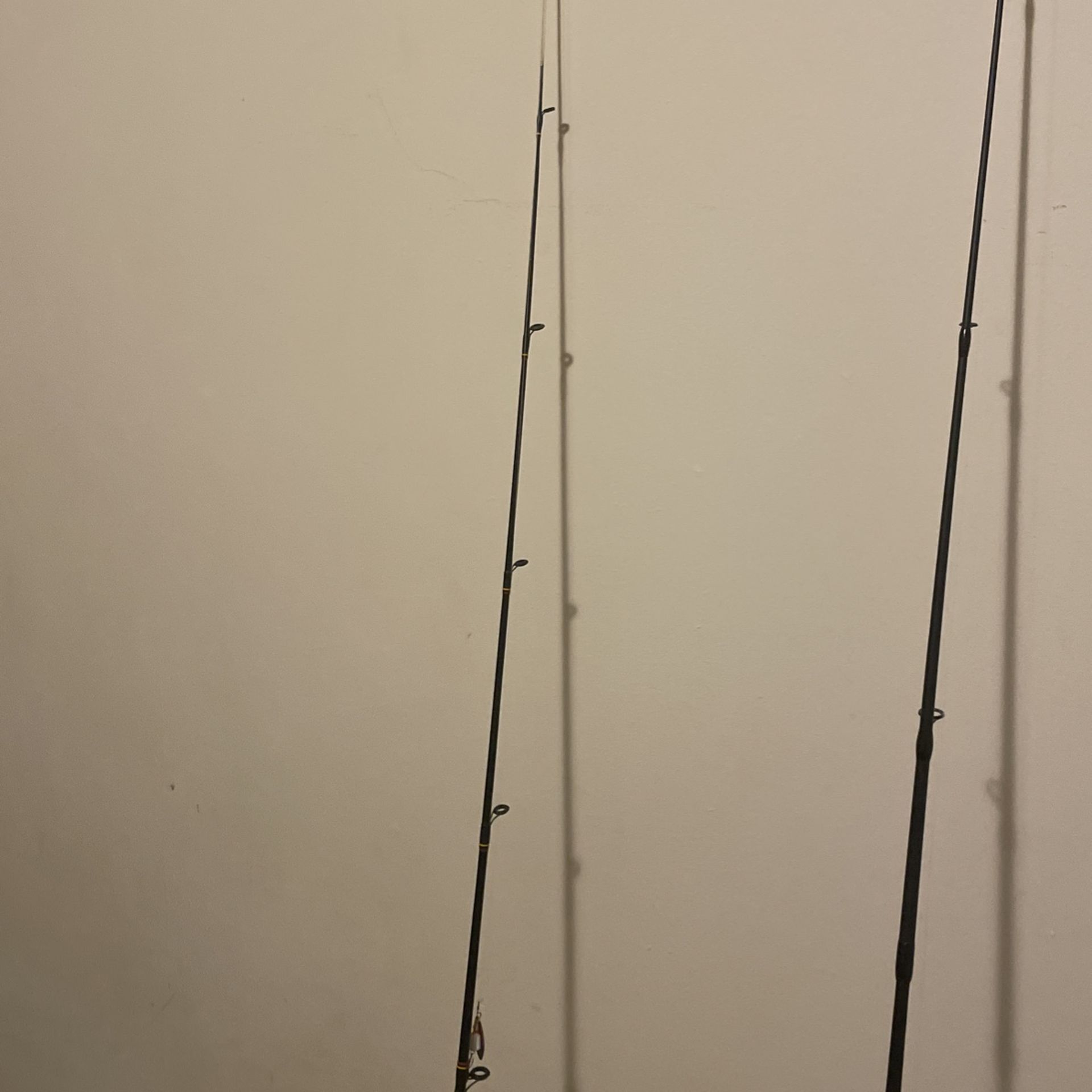 Fishing Poles