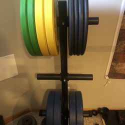 Full Rogue Fitness Home Gym - Squat Stands, Plates, Specialty Bars, Rower, Collars And Accessories 