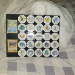 Custom One And Only Pokemon Flag Made Of Porcelain