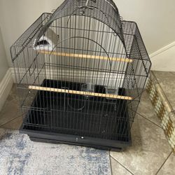 Bird Cage