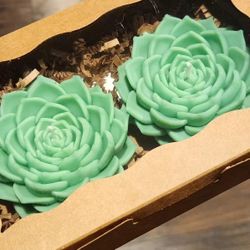 Succulent Candles New With Gift Box Party