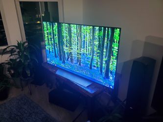 LG OLED 55 inch 4K TV HDR