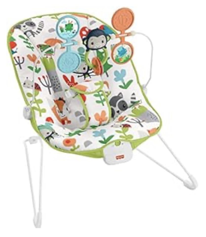 Fisher Price Baby’s Bouncer