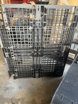 Standard Plastic Pallets  ~40”x48”