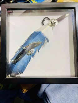 Framed Painted Feathers