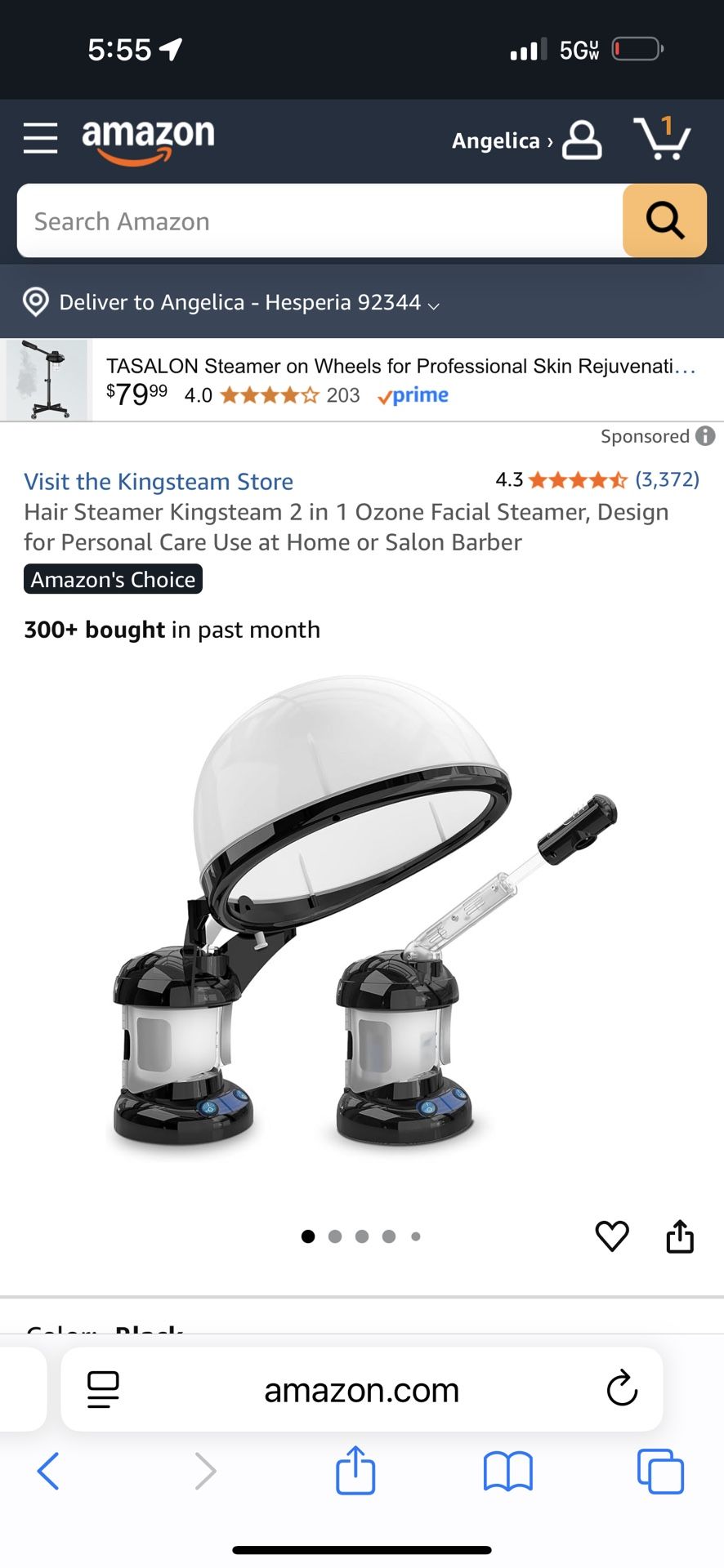 Hair steamer Kingsteam 2 In 1 Facial Steamer 