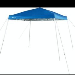 Brand New 10x10 Canopy Pop Up