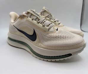 Nike Pegasus Premium — Men’s 9