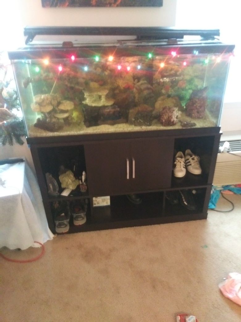 75 Gallon Fresh Water tank with stand and fish