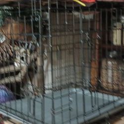 Med Dog Crate