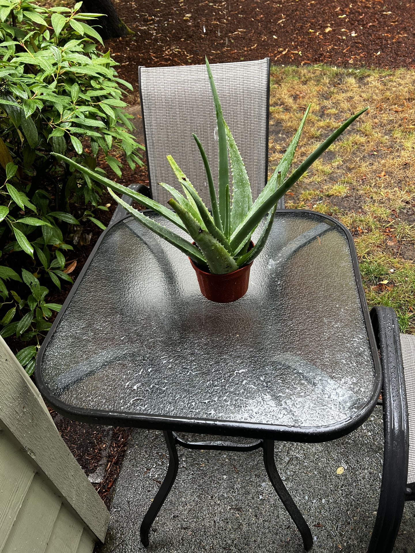 Patio Table & Chairs